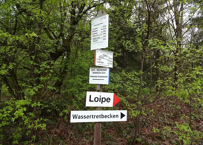 Henne Hahnenklee * 戈斯拉尔