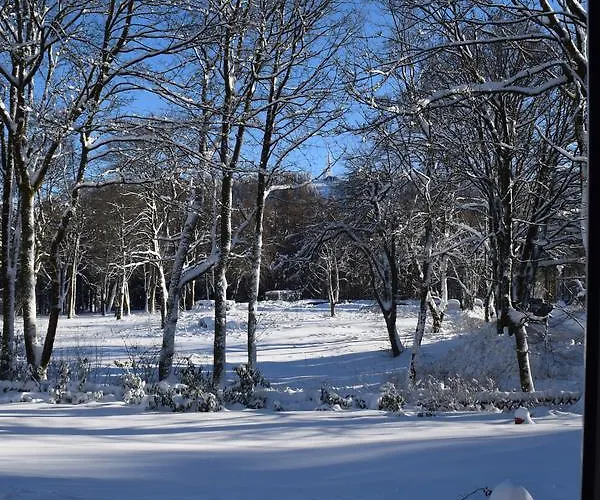 公寓 Henne Hahnenklee *