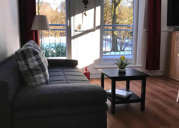 Henne Hahnenklee 公寓 *