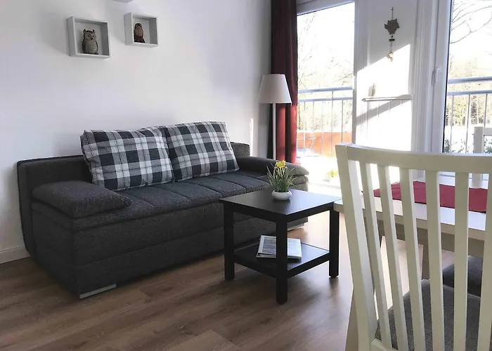 Henne Hahnenklee 公寓 戈斯拉尔