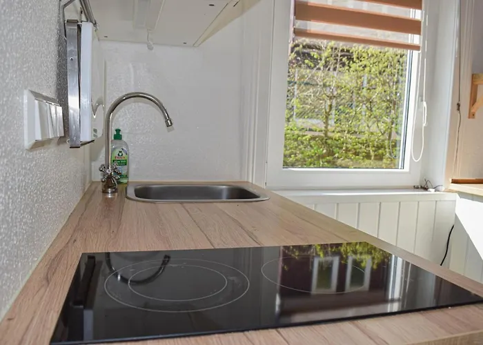 Henne Hahnenklee 公寓 戈斯拉尔